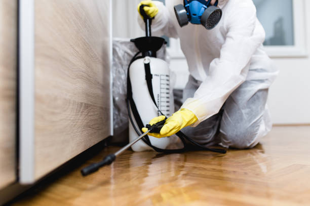 Insect Control in Stuart, VA