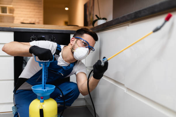 Best Affordable Pest Control Services  in Stuart, VA