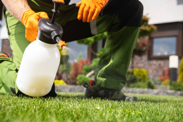 Best Rat Extermination Near Me  in Stuart, VA