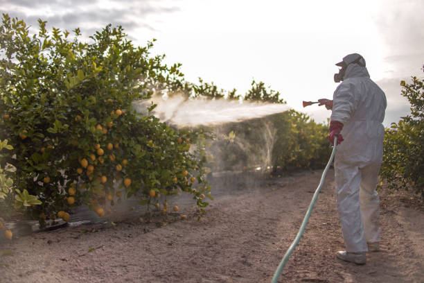 Pest Prevention Services in Stuart, VA