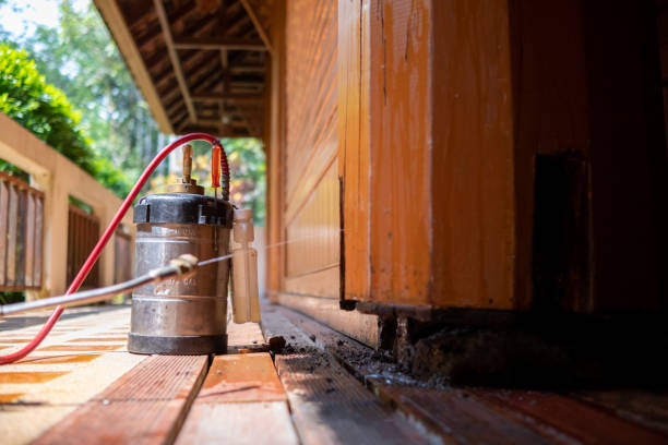 Best Affordable Pest Control Services  in Stuart, VA