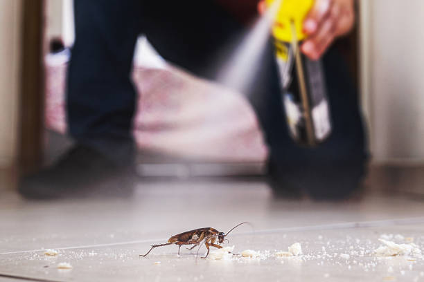 Professional Pest Control in Stuart, VA