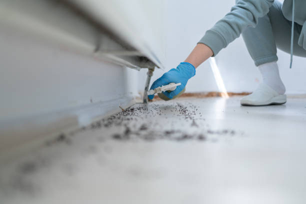 Best Emergency Pest Control  in Stuart, VA